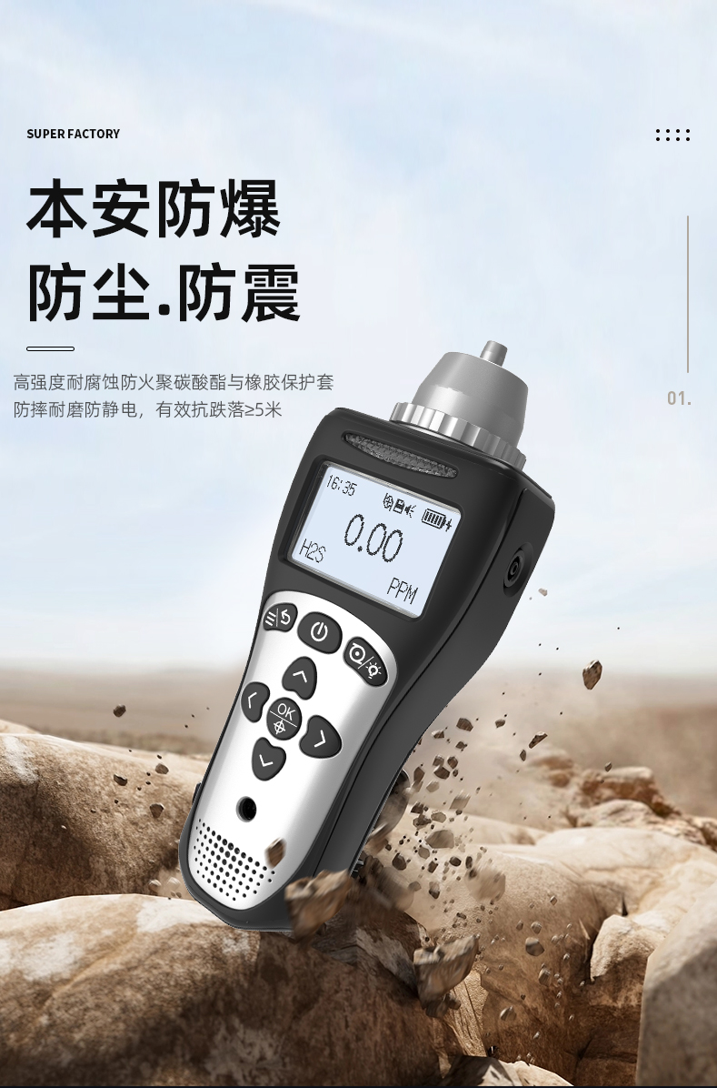 MS104K-L便攜式氣體檢測(cè)儀